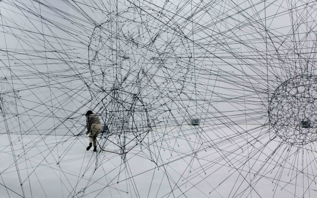 Arrêtez de penser que le monde est compliqué… il est complexe ! – par Marc Halévy – #3 les défis