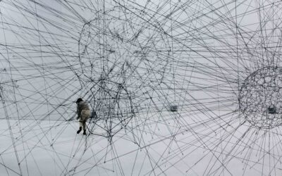 Arrêtez de penser que le monde est compliqué… il est complexe ! – par Marc Halévy – #3 les défis