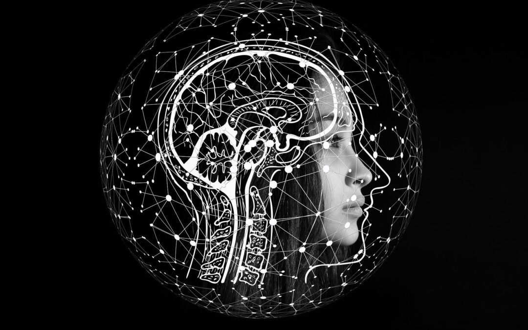 Comment tirer parti de notre cerveau : la neuroplasticité