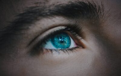 Série : Le Leadership éclairé #4 – Voir pour mieux discerner (Leadership de sens)