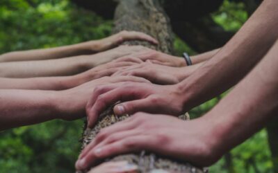 Leadership durable : 3 clés pour incarner un impact positif et concret